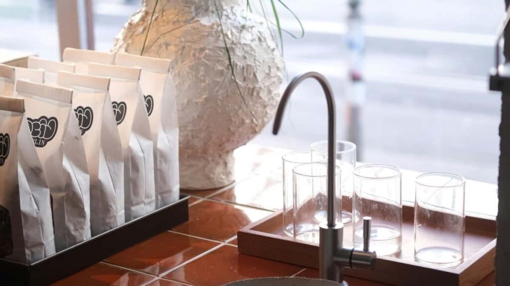 How Instagram Influencers in Ireland Can Collaborate with Brands in United States