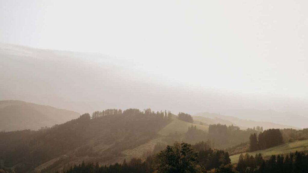 Top 10 Instagram Influencers You Should Collaborate With in USA