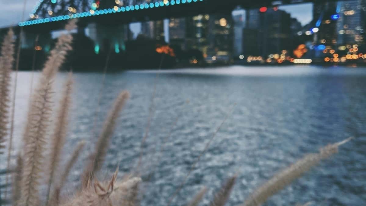 Irish Creators: Pitch Thai Brands on Hulu — Get Hired