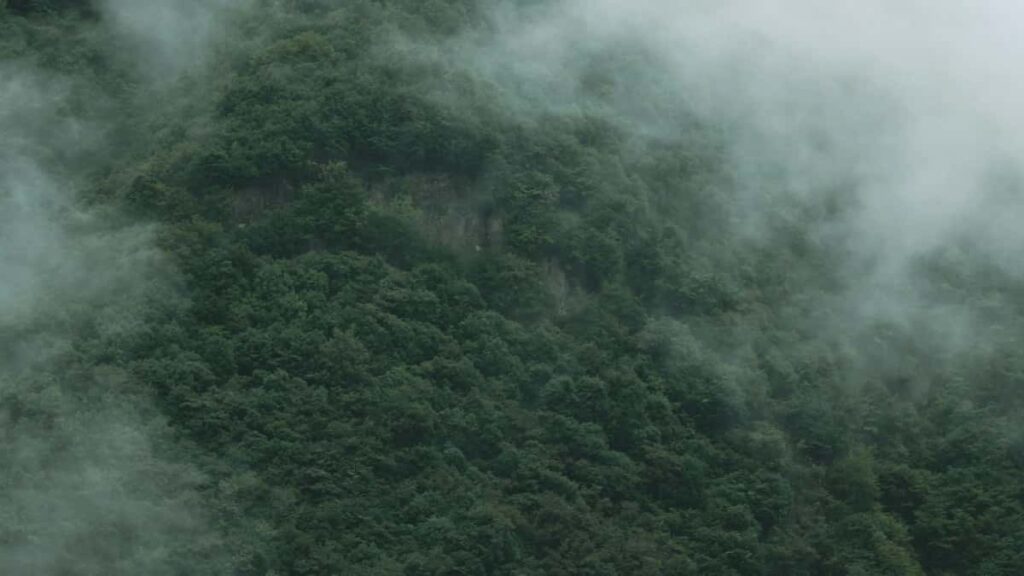 A practical Irish creators guide to pitching Estonian brands on Chingari and scoring free product samples step-by-step outreach, DM scripts, and smart follow-ups.