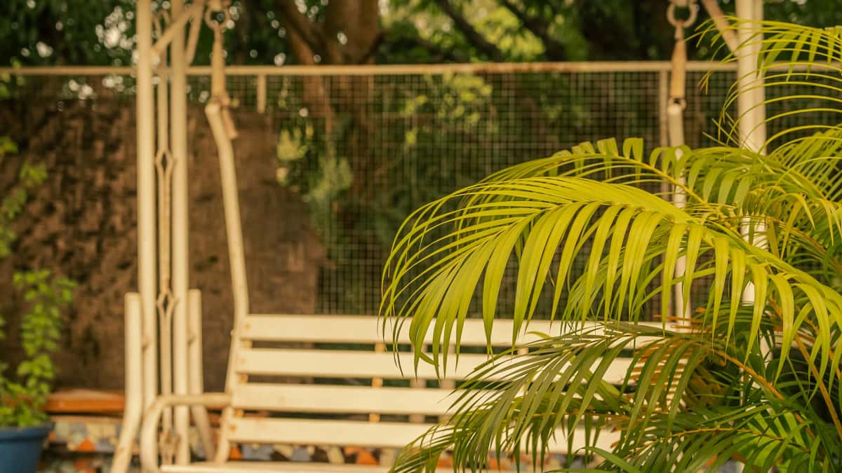 Irish advertisers finding Myanmar Line creators — quick guide