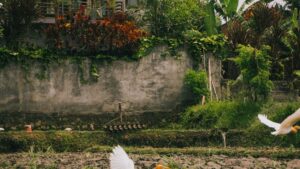 Practical guide for creators in Ireland who want to land paid sponsorships with Spanish brands via WeChat outreach, best channels, pitch templates and risk checks.