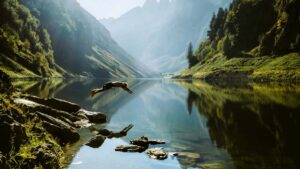 Practical guide for Irish advertisers to find Costa Rica Roposo creators for makeup tutorials, with outreach tactics, platform tips, and campaign checklist.