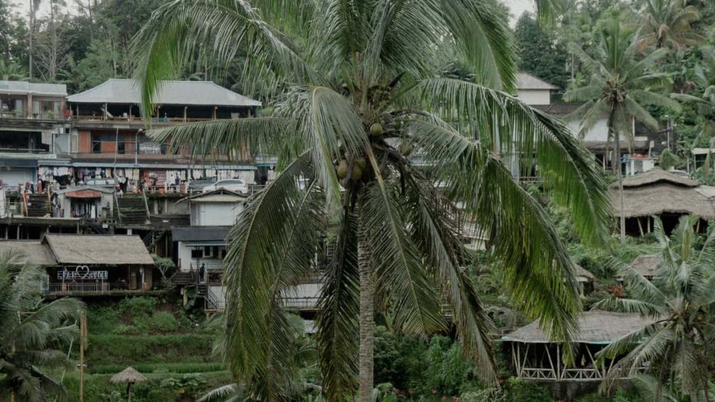 Practical guide for creators in Ireland on how to approach Australian brands selling on eBay to win spots in brand campaigns step-by-step outreach, platform tactics and campaign-ready examples.