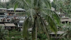 Practical guide for creators in Ireland on how to approach Australian brands selling on eBay to win spots in brand campaigns step-by-step outreach, platform tactics and campaign-ready examples.