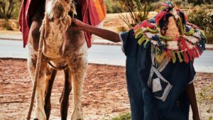 Practical guide for Irish creators on reaching UK beauty and skincare brands via Rumble outreach, pitch templates, risks, and platform tactics.