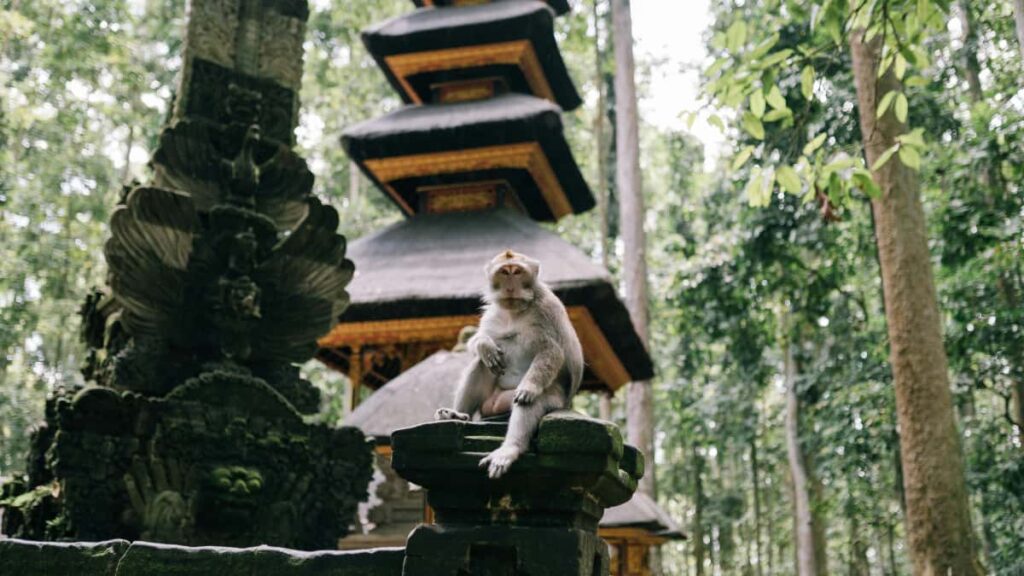 Practical guide for Irish advertisers on finding Cyprus Line creators to promote mobile-game launches, with local tactics, platform notes and outreach templates.