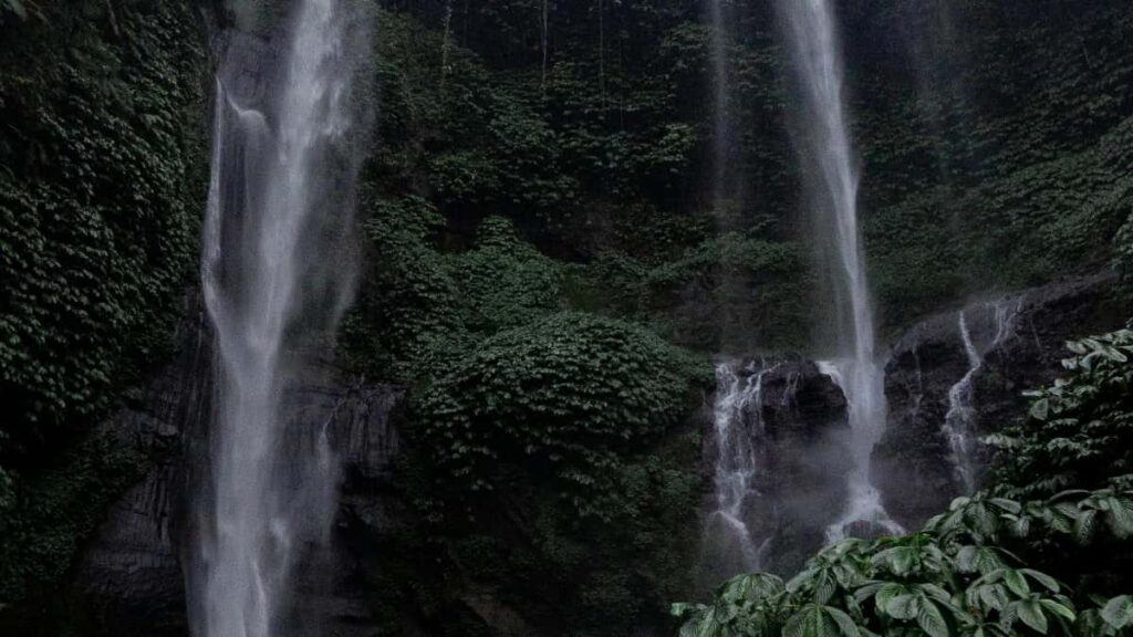 Practical guide for Irish creators to contact Panama brands on Viber and pitch songreaction videos, with outreach scripts, platform tips and marketplace context.