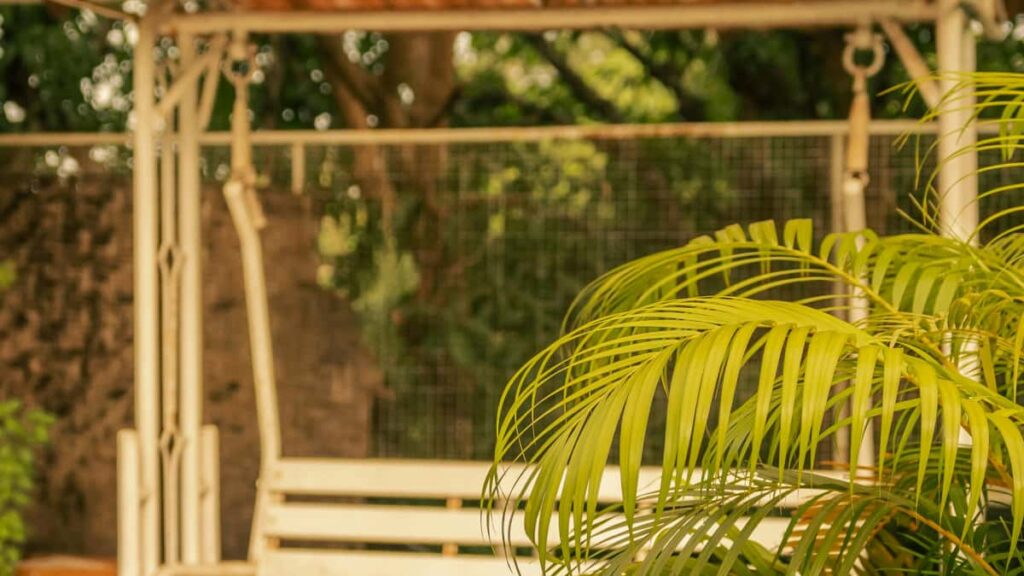 Practical, local guide for Irish creators to connect with Portuguese brands on Threads and co-create productivity guides outreach tips, legal notes, and platform tactics.