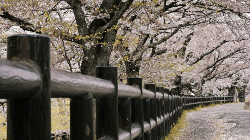 Practical guide for Irish advertisers on finding Turkish Pinterest creators to lift brand visibility, with platform tips, campaign KPIs and outreach playbook.