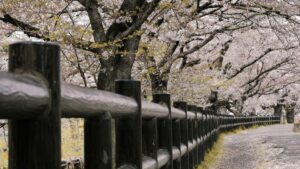 Practical guide for Irish advertisers on finding Turkish Pinterest creators to lift brand visibility, with platform tips, campaign KPIs and outreach playbook.