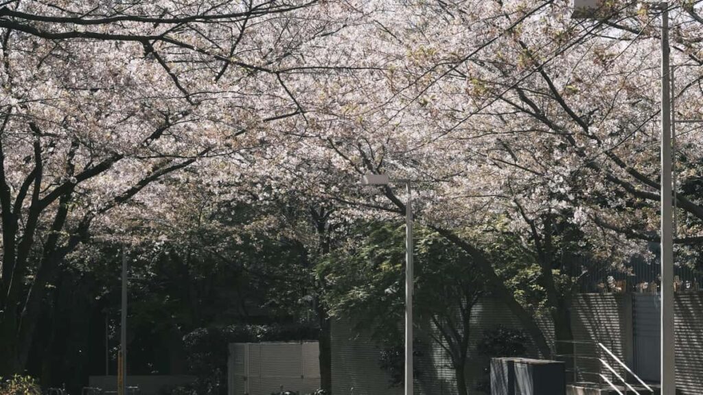 Practical guide for Irish advertisers to find Jordan-based KakaoTalk creators and run creator-led sustainability campaigns with authentic storytelling and measurable impact.