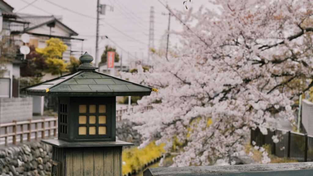 Practical guide for Irish advertisers on finding Norway-based Taobao creators to launch clothing collections, with platform tips, outreach templates and market signals.