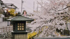 Practical guide for Irish advertisers on finding Norway-based Taobao creators to launch clothing collections, with platform tips, outreach templates and market signals.