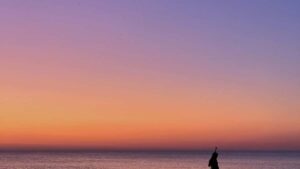 Practical guide for Irish creators on finding and pitching Bangladesh-based eBay brands to land campaign features and collabs.