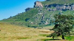 Practical guide for Irish creators on pitching Qatar brands via Moj to run game-key giveaways. Steps, outreach scripts, local insights and platform tips.